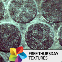 Texture Thursday: Dots